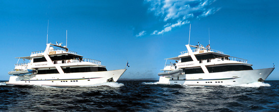© copyright by Aggressor Fleet