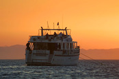 © copyright by Sinai Divers
