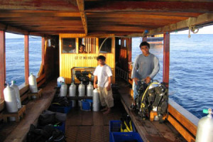 © copyright by Wallacea Dive Cruise