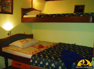 © copyright by Maldives Liveaboards