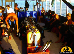 © copyright by Maldives Liveaboards