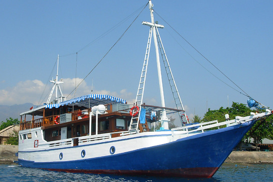 © copyright by Grand Komodo Tours