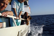 © copyright by Nautilus Explorer