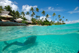 © copyright by Wakatobi Dive Resort