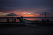 © copyright by Wakatobi Dive Resort