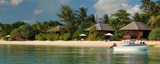 © copyright by Wakatobi Dive Resort