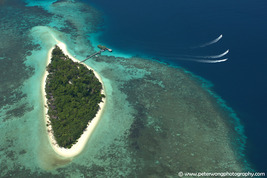 © copyright by www.peterwongphotography.com / Lankayan Island Resort