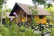© copyright by Sepilok Nature Resort