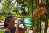 © copyright by Tufi Dive Resort