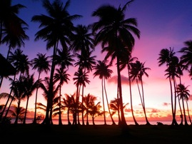 © copyright by Diversion Dive Travel