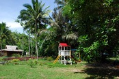 © copyright by Minahasa Lagoon Dive & Tours Club