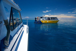 © copyright by Tufi Dive