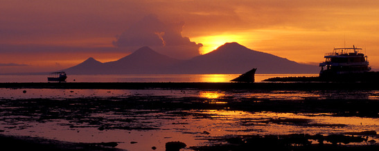 © copyright by Walindi Dive Resort, Darryl Torckle
