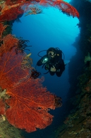 © copyright by Ra Divers