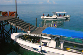 © copyright by Kapalai Dive Center