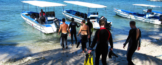 © copyright by AB Wonderdive