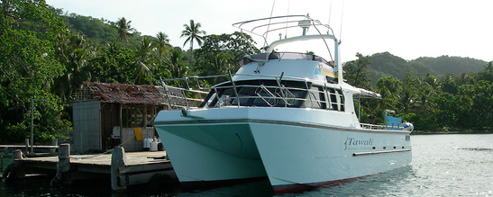 © copyright by Tawali Resort