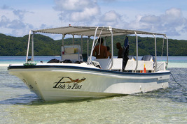 © copyright by Fish &acute;n Fins