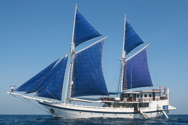 © copyright by Donna Lattin, Peter Hughes Diving Inc.