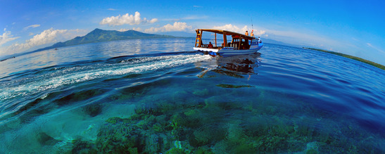 © copyright by Siladen Dive Center