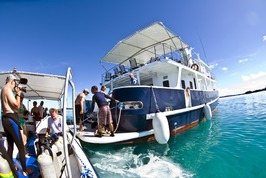 © copyright by Ocean Hunter