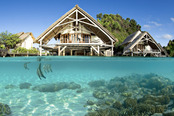 © copyright by Tobias Zimmer for Misool Eco Resort