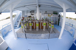 © copyright by Coiba Dive Expeditions