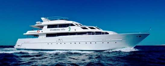 © copyright by Sea Serpent Fleet