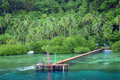 © copyright by Raja Ampat Dive Lodge