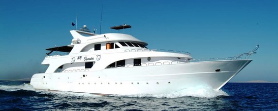 © copyright by Sea Serpent Fleet