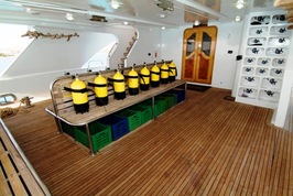© copyright by Sea Serpent Fleet