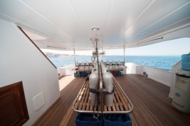 © copyright by Sea Serpent Fleet