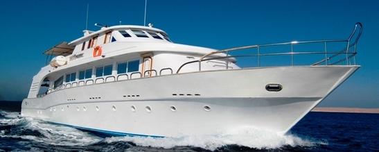 © copyright by Sea Serpent Fleet