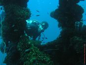 © copyright by Diversion Dive Travel