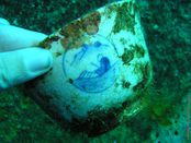© copyright by Diversion Dive Travel