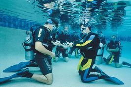 © copyright by Pro Dive