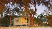 © copyright by Lady Elliot Island Resort