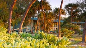 © copyright by Lady Elliot Island Resort