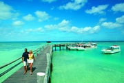 © copyright by Heron Island