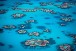 © copyright by Heron Island
