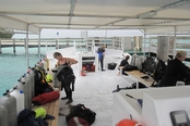 © copyright by Claudia  Lutrop, Diversion Dive Travel