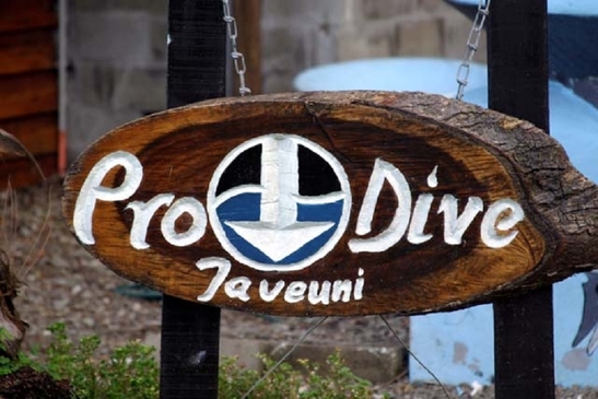 © copyright by Diversion Dive Travel