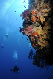 © copyright by Wananavu Resort