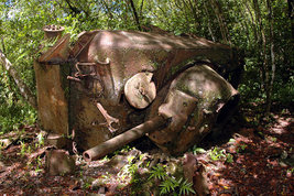 © copyright by Kevin Davidson, Fremdenverkehrsamt Palau