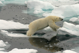 © copyright by Marloes Tiggeloven, Oceanwide Expeditions