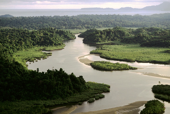 © copyright by Coiba Dive Expeditions