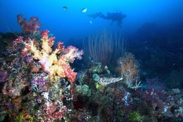 © copyright by Ministry of Culture and Tourism Republic of Indonesia