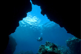 © copyright by Manta Ray Bay Resort & Yap Divers