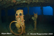 © copyright by Nicolai Rupprechter