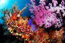 © copyright by Maratua Paradise Resort
